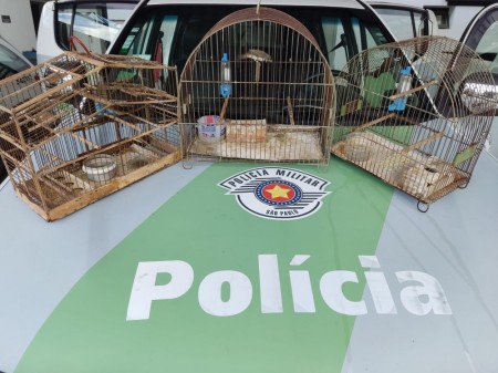 Fiscalização resgata do cativeiro e solta na natureza aves mantidas irregularmente em residência em Presidente Prudente