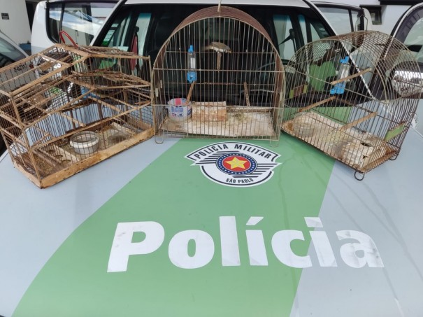 Fiscalizao resgata do cativeiro e solta na natureza aves mantidas irregularmente em residncia em Presidente Prudente