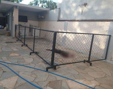 Justiça mantém preso homem que matou o próprio cachorro com tiro de pistola: 'comportamento violento e injustificável'