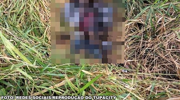 Corpo em estado avan�ado de decomposi��o � encontrado em Quat� (SP)