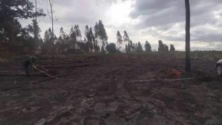 Incêndio em fazenda atinge vegetação em área de reserva legal e acarreta multas de mais de R$ 250 mil em Marabá Paulista