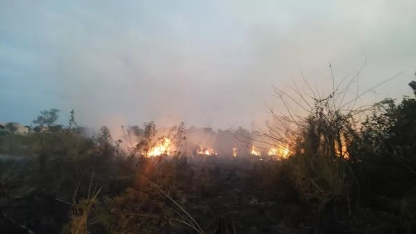 Incndio de grandes propores em rea de Preservao Permanente mobiliza Corpo de Bombeiros e Defesa Civil