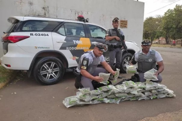 Passageiro de �nibus � preso ap�s ser flagrado com pacotes de 'supermaconha' em bagagem