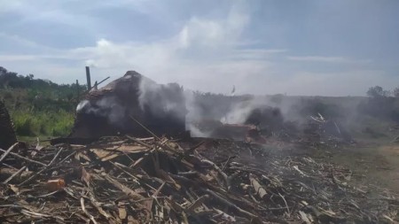 Homem descumpre embargo e recebe multa de R$ 10 mil por produção de carvão sem licença, em Santo Anastácio