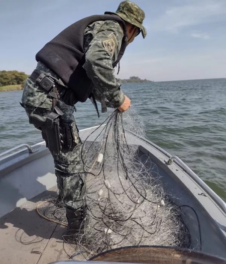 Polícia Ambiental apreende redes de pesca armadas irregularmente no Rio Paraná, em Rosana