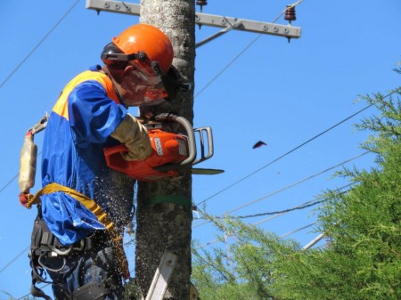 Secretaria de Agricultura e Meio Ambiente de OC traz curso de reciclagem e formação para podadores 