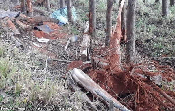 Acidente na vicinal que liga Sagres e In�bia Paulista fere uma pessoa