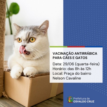Osvaldo Cruz realiza nova etapa de vacinação contra a Raiva Animal