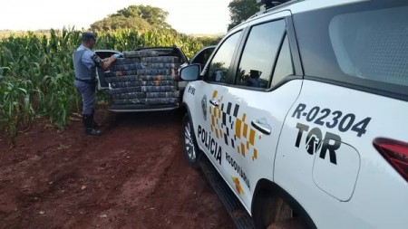 Homem é preso com mais de 300 tabletes de maconha após perseguição e fuga a pé por milharal em Paraguaçu Paulista