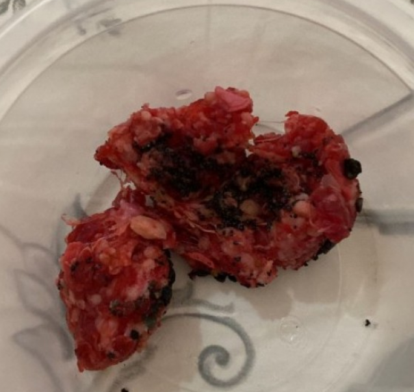 Voc Reprter: Morador do Residencial Santa Mnica tenta envenenar animais 