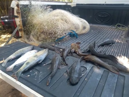 Pescadores são autuados em R$ 2,4 mil por pescar em local proibido em Adamantina