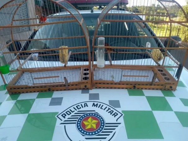 Criador amador de pssaros leva multa de R$ 2,4 mil por manter irregularmente aves exticas em cativeiro