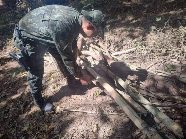 Sitiante  autuado em quase R$ 11 mil por destruir vegetao nativa em Osvaldo Cruz