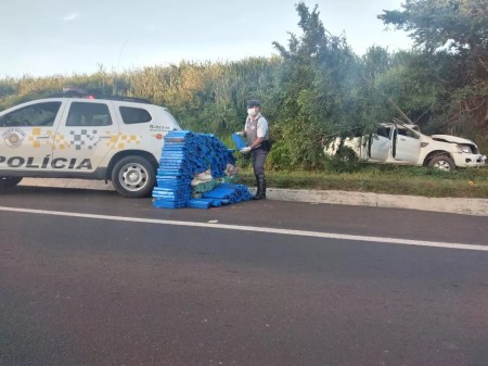 Meia tonelada de maconha é achada em caminhonete que ficou destruída após bater em árvore na rodovia