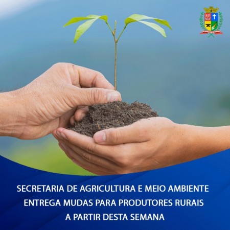 Secretaria de Agricultura e Meio Ambiente de OC distribui mudas gratuitamente para proprietários rurais