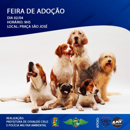 Polícia Ambiental e Prefeitura de OC realizam Feirinha de Adoção de Animais neste sábado