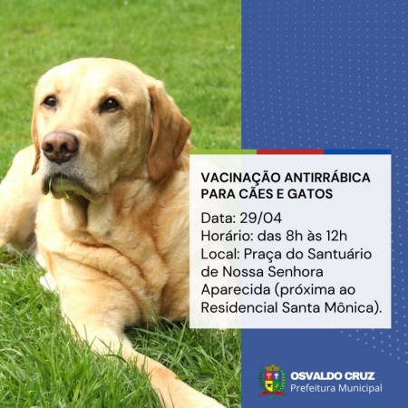 Prefeitura de OC realiza nova etapa de vacinação contra a Raiva animal