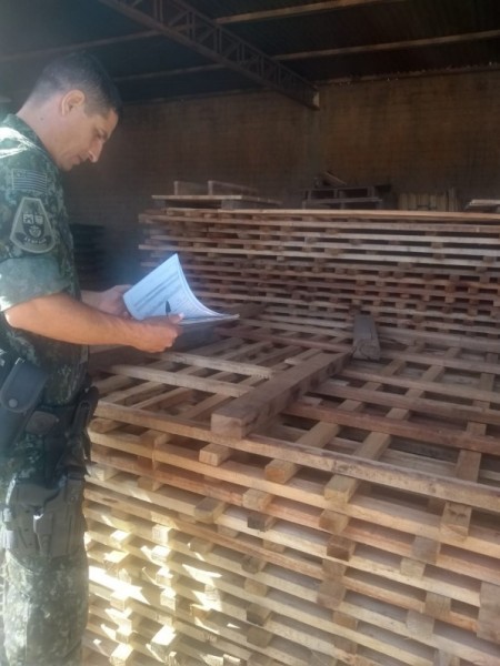 Polícia Ambiental autua madeireira em r$ 7,7 mil por venda de madeira sem documentação