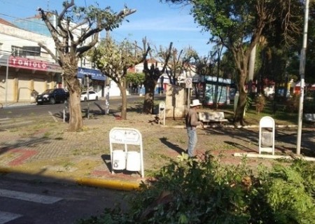 Ministério Público abre inquérito civil para apurar poda drástica de árvores em praça de Dracena
