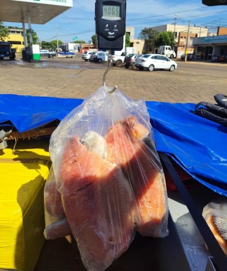 Pescadores amadores são autuados em R$ 2,5 mil por exceder cota de transporte de peixes em Teodoro Sampaio