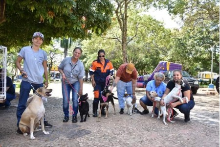 Feira de Adoção tem balanço positivo com vários animais adotados em Osvaldo Cruz
