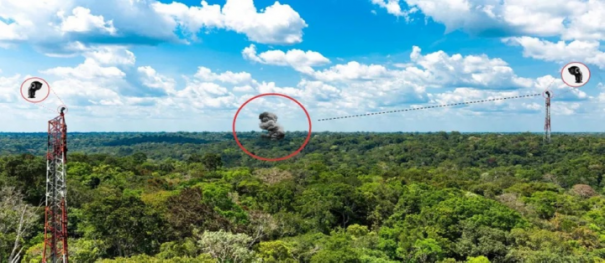 Sistema vai detectar em tempo real incndios em canaviais do centro-oeste paulista