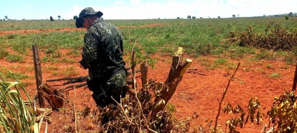 Fazendeiro  autuado em R$ 18 mil por corte irregular de 60 rvores nativas sem autorizao em Presidente Epitcio