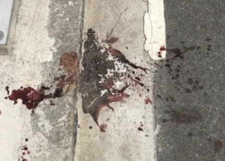 Jovem de 22 anos morre após ser baleado no rosto e pescoço