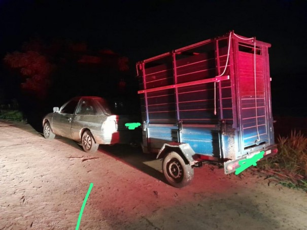 Dois moradores de Parapu� s�o detidos ap�s furto de gado em fazenda