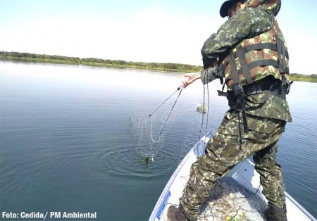 Piracema inicia nesta terça-feira (1º) e segue até fevereiro de 2023
