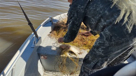 Polícia Ambiental apreende 750 metros de redes de pesca armadas irregularmente