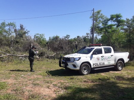 Sitiante é autuado em mais de R$ 19 mil por supressão de 32 árvores em Teodoro Sampaio