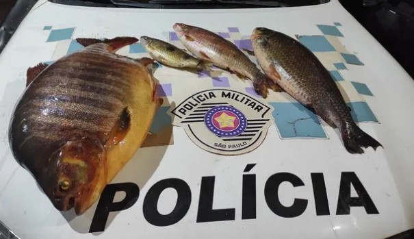 Pescador profissional � autuado em mais de R$ 1,4 mil por pesca proibida durante a piracema, em Paulic�ia