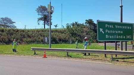 Eixo SP completa um ano de internalização da conserva com novas contratações