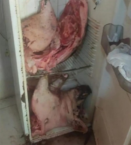 Homem é preso após matar e furtar porco de 150 quilos