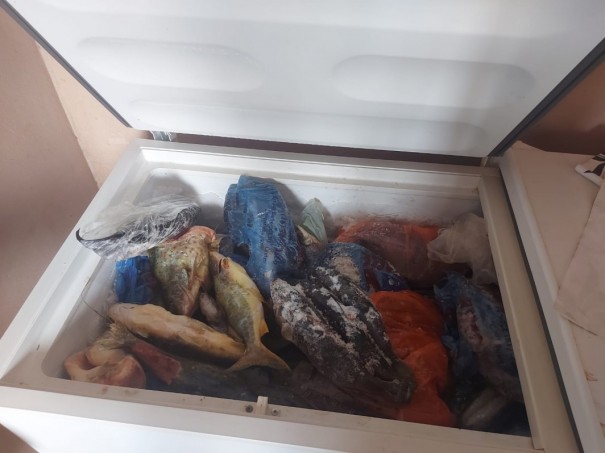 Homem � autuado em R$ 2,6 mil por n�o declarar estoque de pescado 