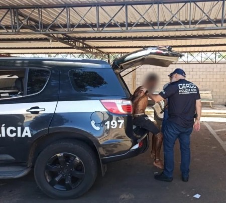 Polícia Civil prende suspeito de roubar e estuprar mulher em via pública