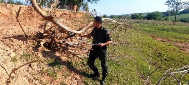 Homem  multado em R$ 1,5 mil por corte de rvores no distrito de Floresta do Sul, em Presidente Prudente