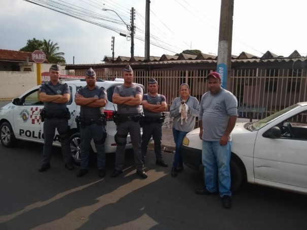 Prefeitura de Osvaldo Cruz, Conselho Tutelar e Pol�cia Militar resgatam crian�a e animais abandonados