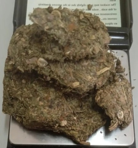 Operação Beta cumpre 16 mandados de busca domiciliar e realiza três prisões em Rosana