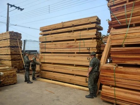 Madeireira é multada em mais de R$ 74 mil por venda e estocagem de madeira sem licença, em Presidente Prudente