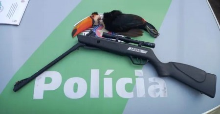 Com tiro de espingarda de pressão, homem mata tucano e é autuado em R$ 1 mil em Álvares Machado