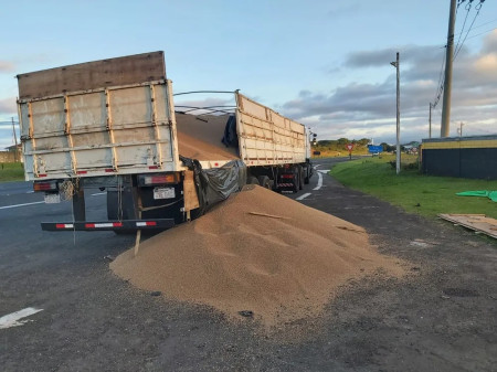 Paraguaios sÃ£o presos com maconha dentro de caminhÃ£o durante abordagem em Pardinho