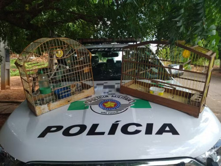 Idosa de 69 anos Ã© multada em R$ 1 mil por manter aves silvestres em cativeiro, em FlÃ³rida Paulista
