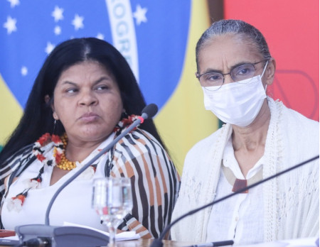 Desmatamento anual da AmazÃ´nia tem queda de 22,3%