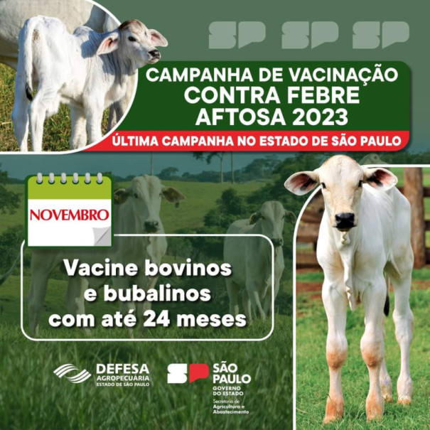 Prefeitura de Sagres alerta para a campanha e vacinação contra a Febre Aftosa