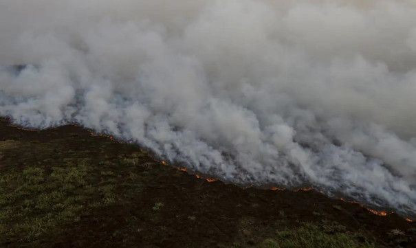 Brigadistas intensificam trabalho de combate a incêndios no Pantanal