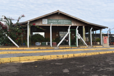 VacinaÃ§Ã£o contra brucelose segue atÃ© o final do mÃªs de novembro