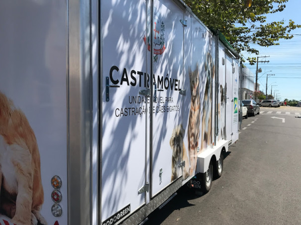 Prefeitura abre credenciamento para contratar empresa especializada na castração de gatos e cachorros no Castramóvel