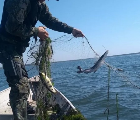 Polícia Ambiental apreende 350 metros de redes de pesca irregulares no Rio Paraná, em Panorama